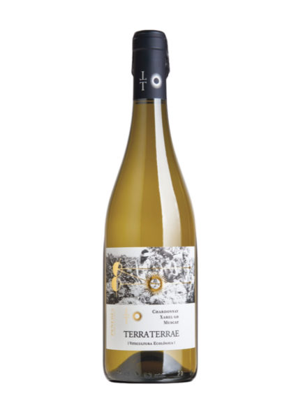 Vino Blanco Terra Terrae 2022 75 cl.