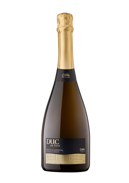 Cava Duc de Foix Reserva Especial 2019 75 cl.